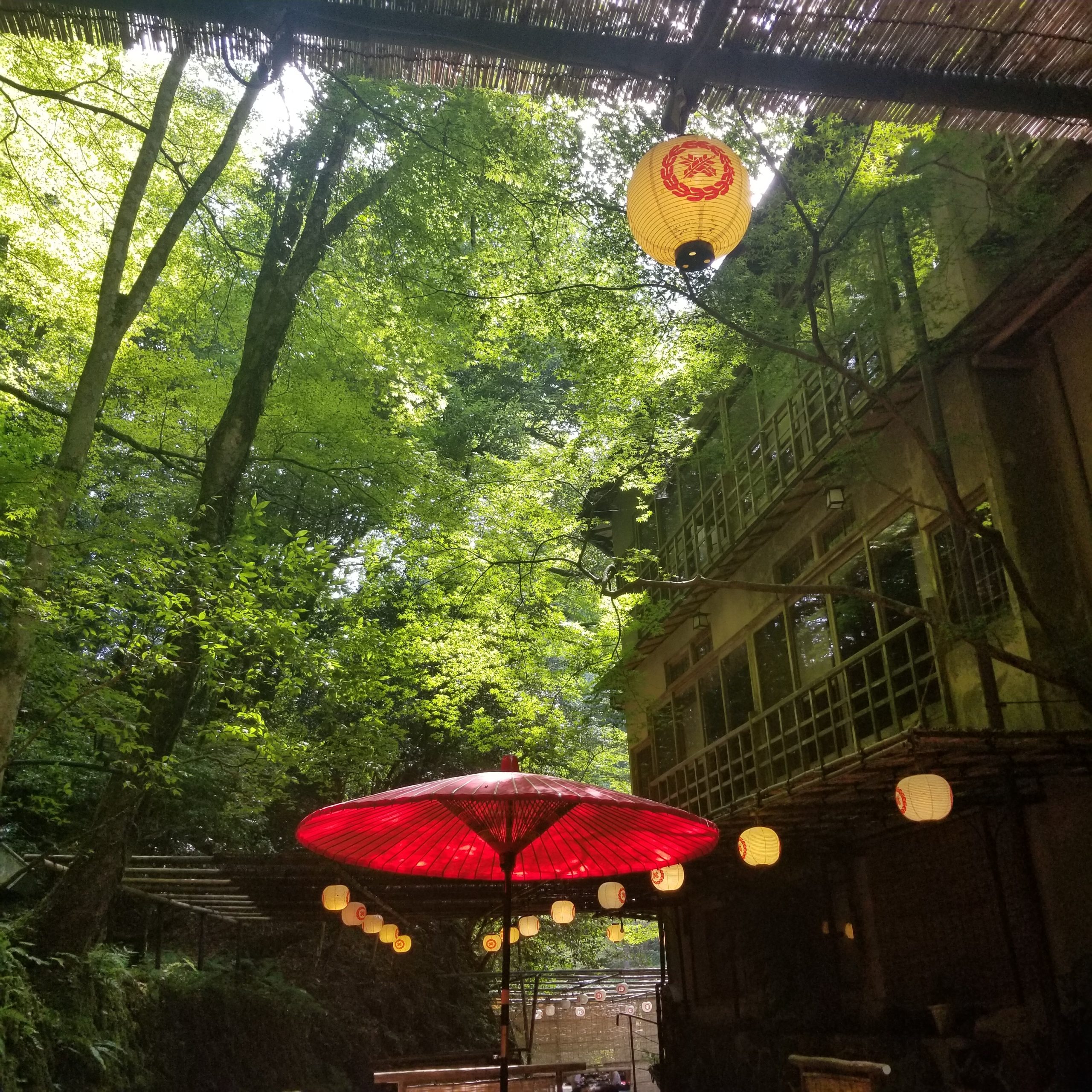 夏の風物詩　貴船の川床